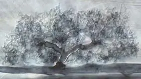 Ботаника: подпольные стратегии