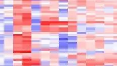 Онкология: важные крошечные