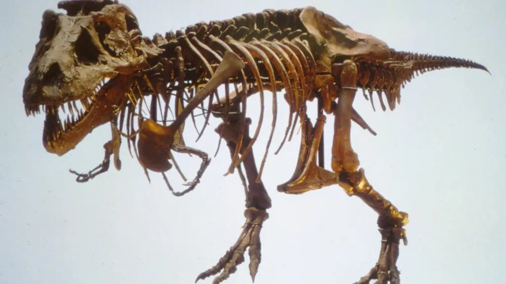 Палеонтология: всплески роста