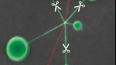 Нанотехнологии: лебедка с наноузлами