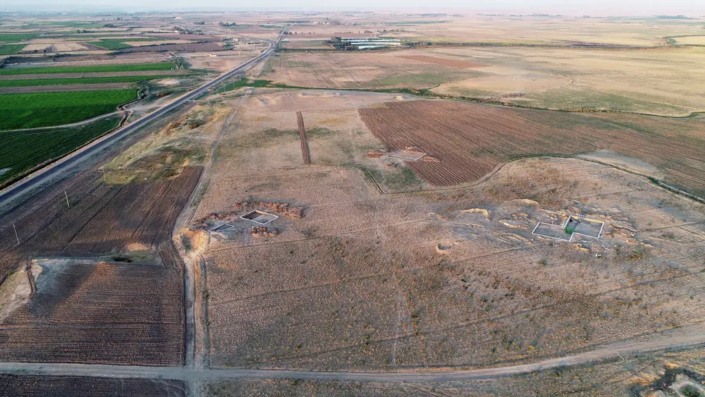 Кто изобрел пиво?