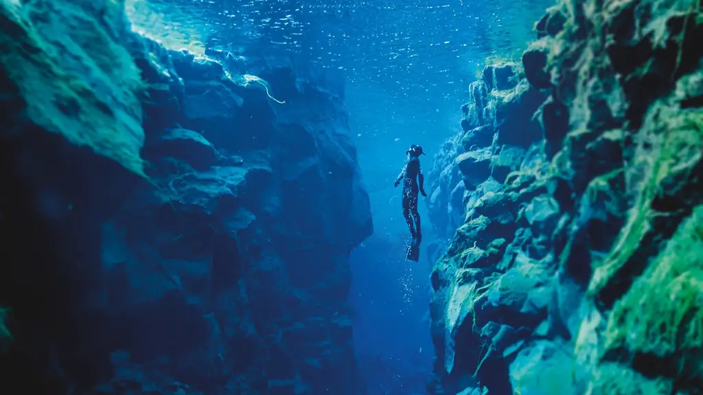 Жизнь через тектонику плит