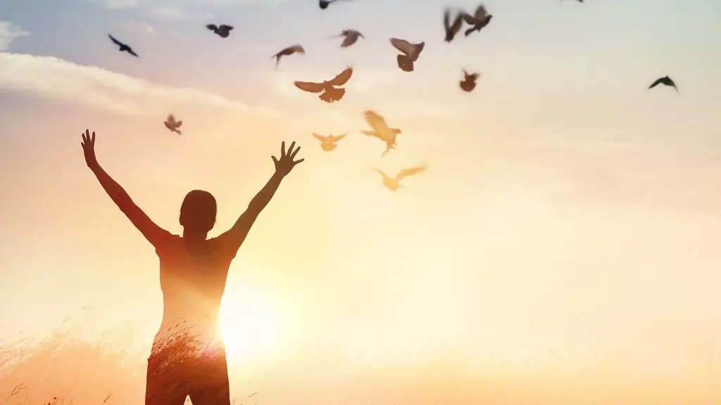 Отрывок Принципы счастья: способы увеличить счастье