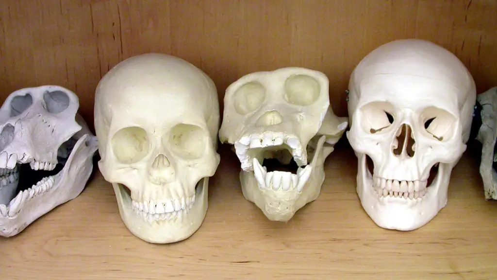 Выдержка из взрывающихся наполнителей для зубов и отравленных шоколадных конфет