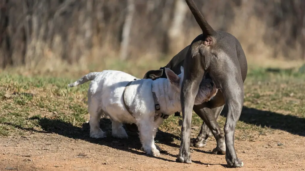 Hatts ароматный мир: послания феромонов