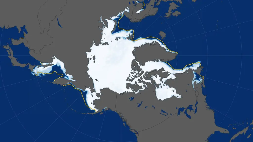 Моральные проблемы Мэдера: новый климат ответственности