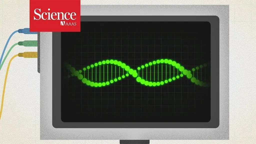 Генная регуляция: геном нежити