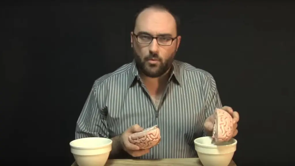 Исследования мозга: тайна сознания