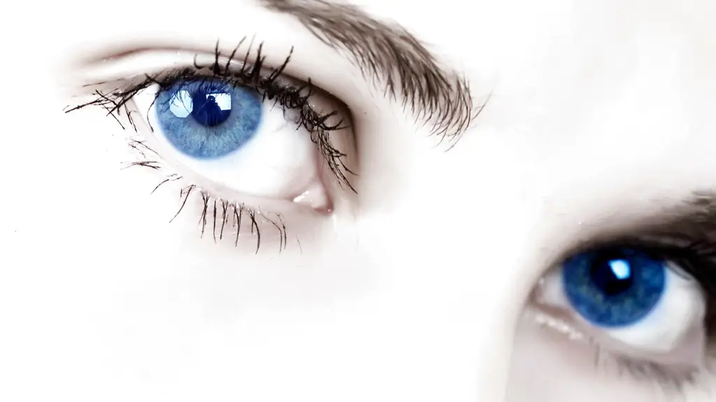 Почему у людей два глаза?