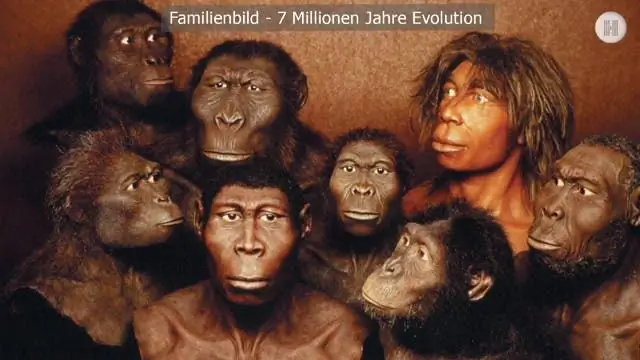 Эволюция: данные вместо генов