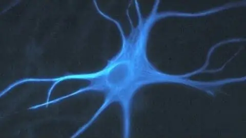 Нейроинформатика: Моделирование человеческого мозга на компьютере