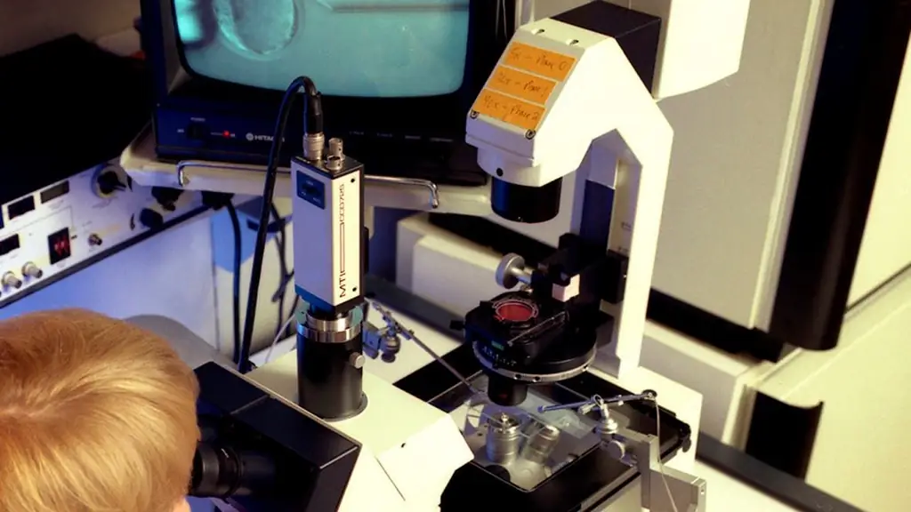 Примечание!: Испытательный срок