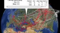 Болезни: быстрое распространение эпидемии
