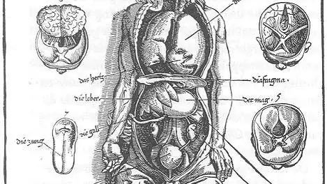 Душевных родов и душевных мест