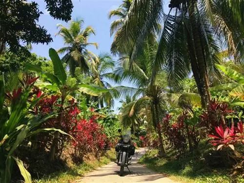 Путешествие в одиночку дает вам возможность нести полную ответственность за себя, показывая, насколько вы на самом деле способны. Санта-Марта, Колумбия.