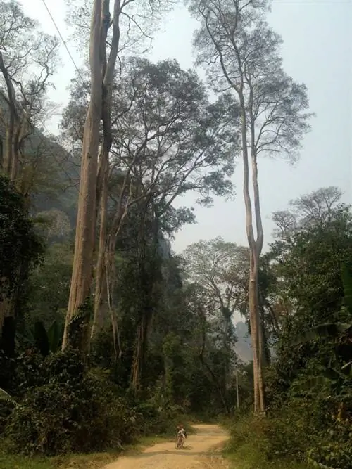 Насколько вы себя недооцениваете? Единственный способ узнать по-настоящему - это выйти за пределы собственных предполагаемых ограничений. Сянкхуанг, Лаос.