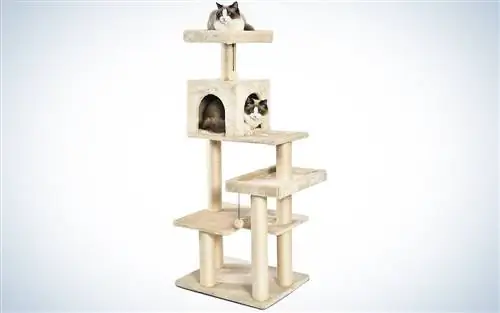 Многоуровневое кошачье дерево AmazonBasics с когтеточкой Многоуровневое кошачье дерево AmazonBasics с когтеточкой