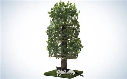 Мебель для кондоминиума On2Pets Cat, Дом на дереве Tower Мебель для кондоминиума On2Pets Cat, Дом на дереве Tower