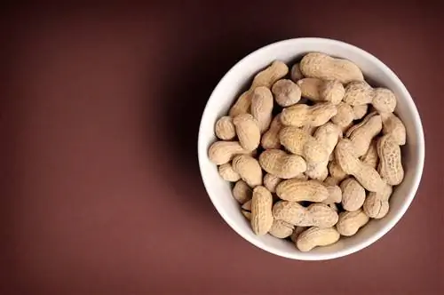 Генеральный директор Peanut получил самое суровое наказание за безопасность пищевых продуктов