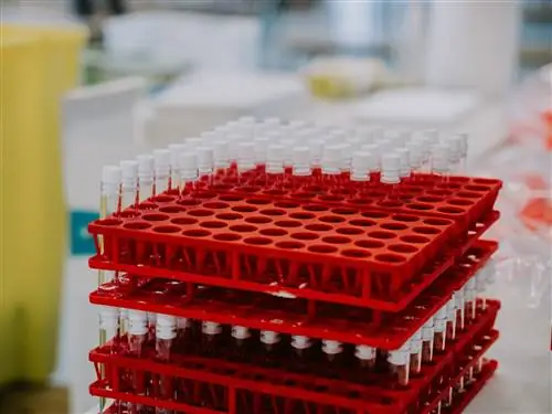 пробирки в лотке