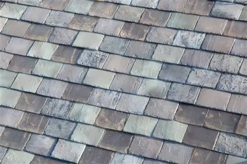 5 вопросов о новых солнечных крышах Илона Маска