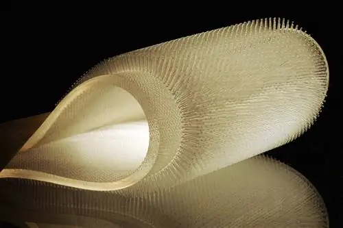 Пушистый гидрокостюм согреет вас