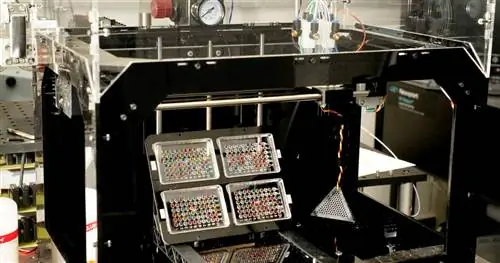 Ученые напечатали на 3D-принтере эмбриональные стволовые клетки человека