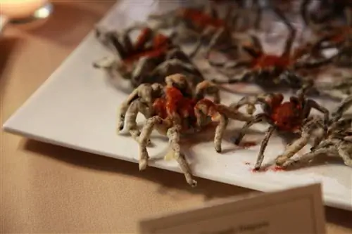 Почему мы меньше едим жуков?