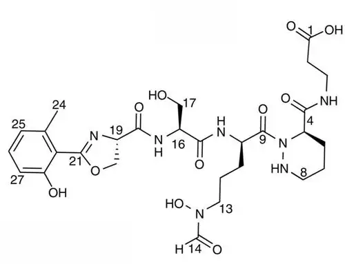 Обращение к океану для борьбы с устойчивостью к антибиотикам