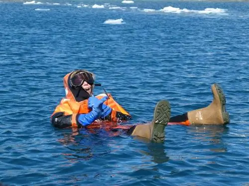 Писатель в море