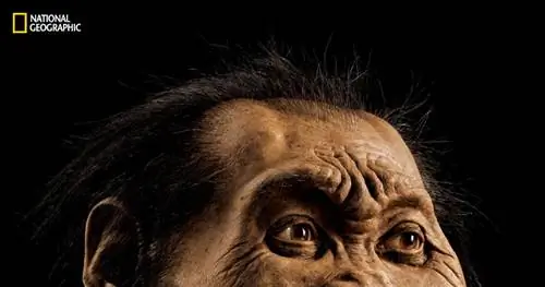 Новые виды на генеалогическом древе человека обнаружены в древней братской могиле