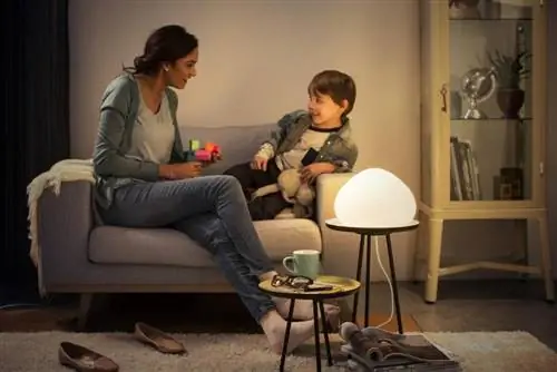 Лампа Philips Wellner