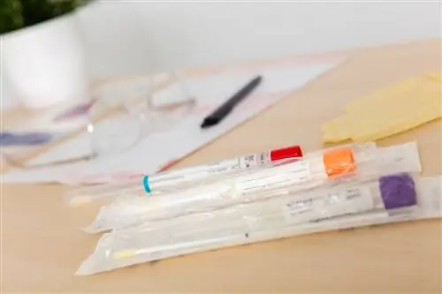 «Дельтакрон» все-таки мог существовать