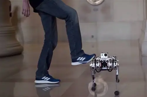 Последняя неделя технологий: множество новых смартфонов, переворачивающийся робот, взлёт и падение Момо