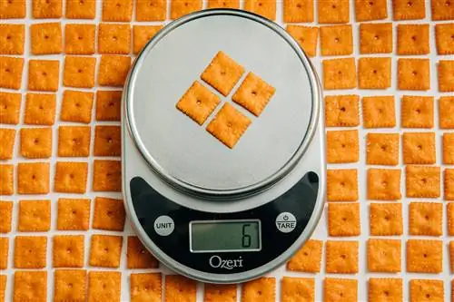 пищевые весы