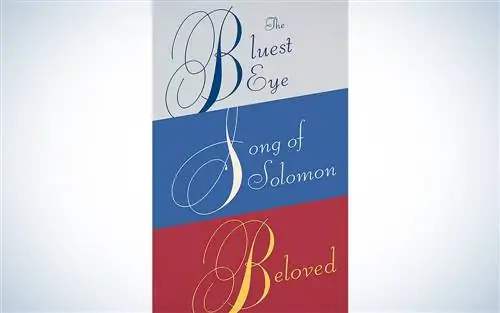 Бокс-сет Тони Моррисон - один из лучших подарков для девочек-подростков.