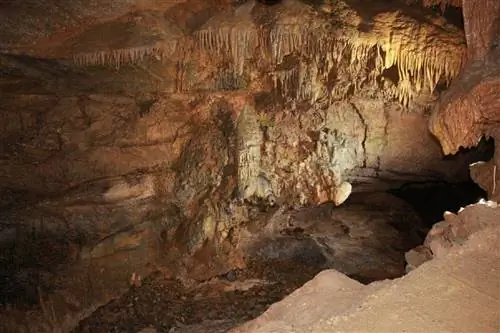 Сталактитовые образования на крыше пещер Такличи в Теннесси.