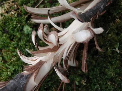 Пуховая палочка с резьбой по дереву.