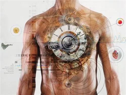 Ваш график может убить вас