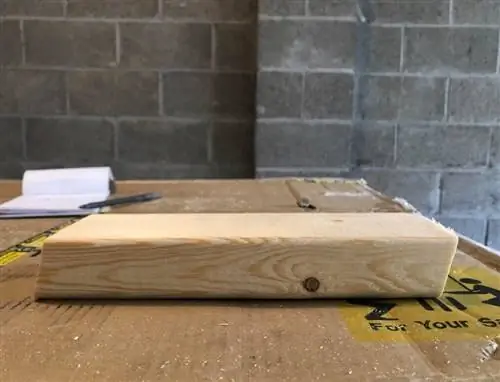 выкройка, показывающая, как должна выглядеть нога лошади-пилы