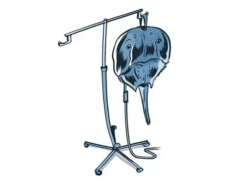 Кровь мечехвоста встречается редко, но имеет решающее значение для медицины, поэтому этот ученый нашел решение