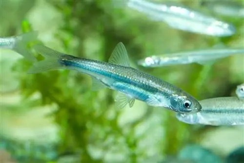 Собираетесь на рыбалку? Для этого есть приложение