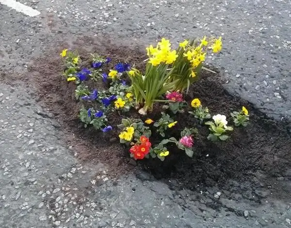 Весна пришла и ямы расцвели