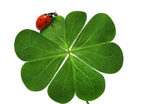 10 советов (+ или - странных), которые увеличат вашу удачу