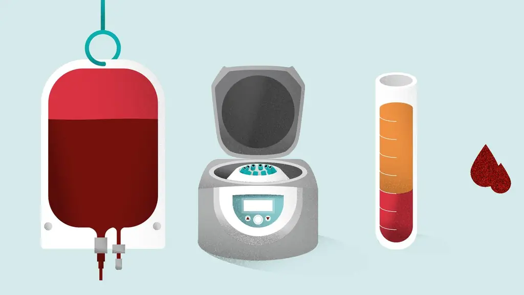 Донорство крови: без крови нет жизни