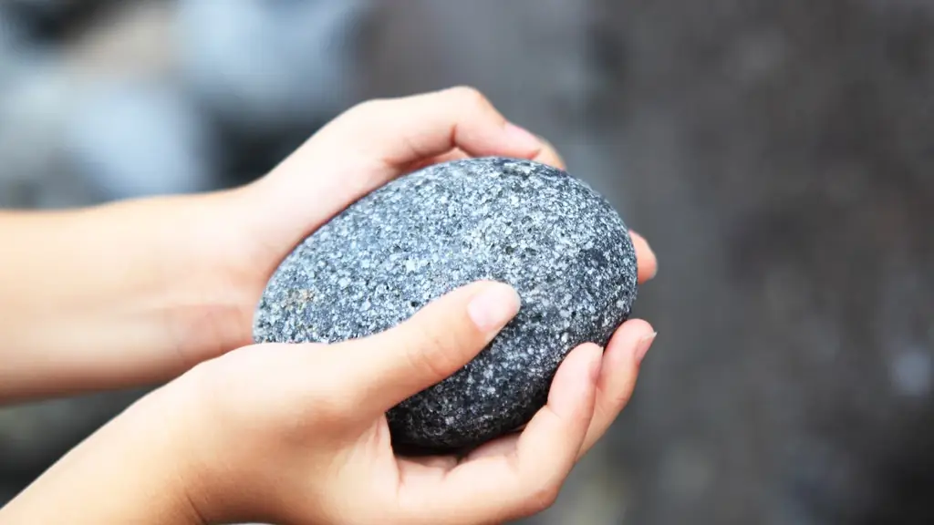 Человеческая эволюция: когда большой палец превратил долюдей в людей?