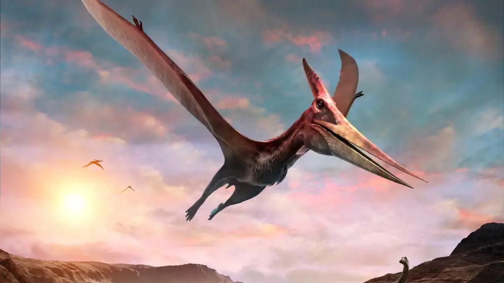 Как могли летать гигантские птеродактили?