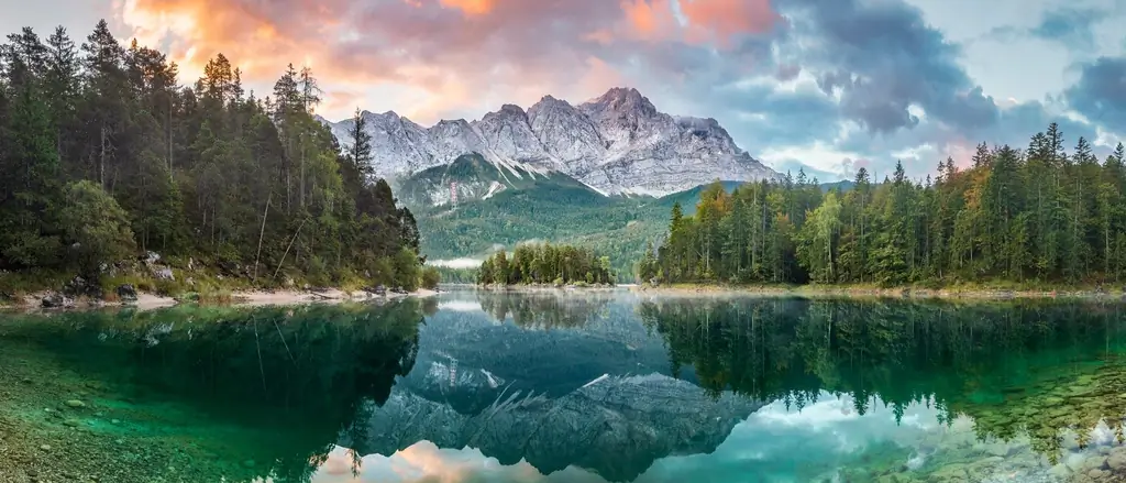 Image Image