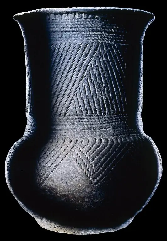 Image Image