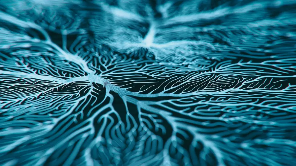 Пять новых подходов в исследовании болезни Альцгеймера